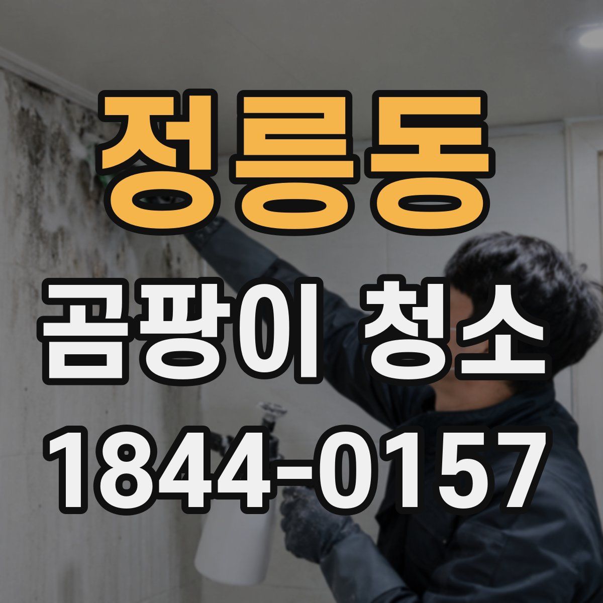 정릉동 곰팡이 청소