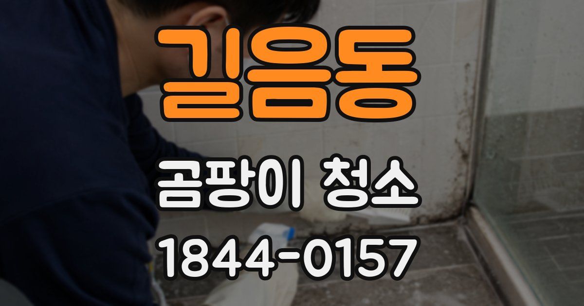 길음동 곰팡이 청소