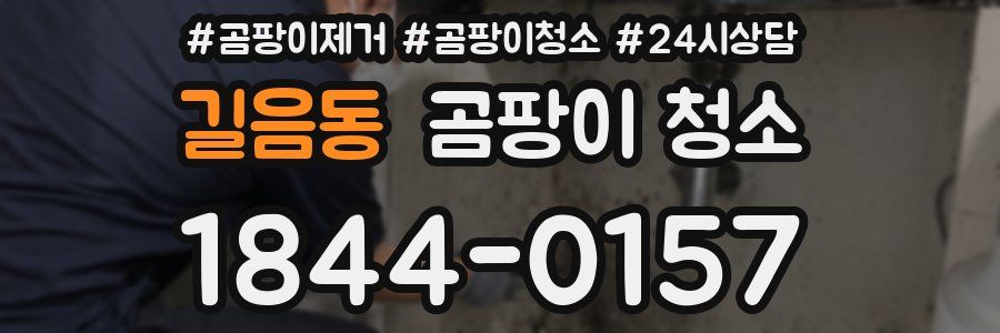길음동 곰팡이 청소