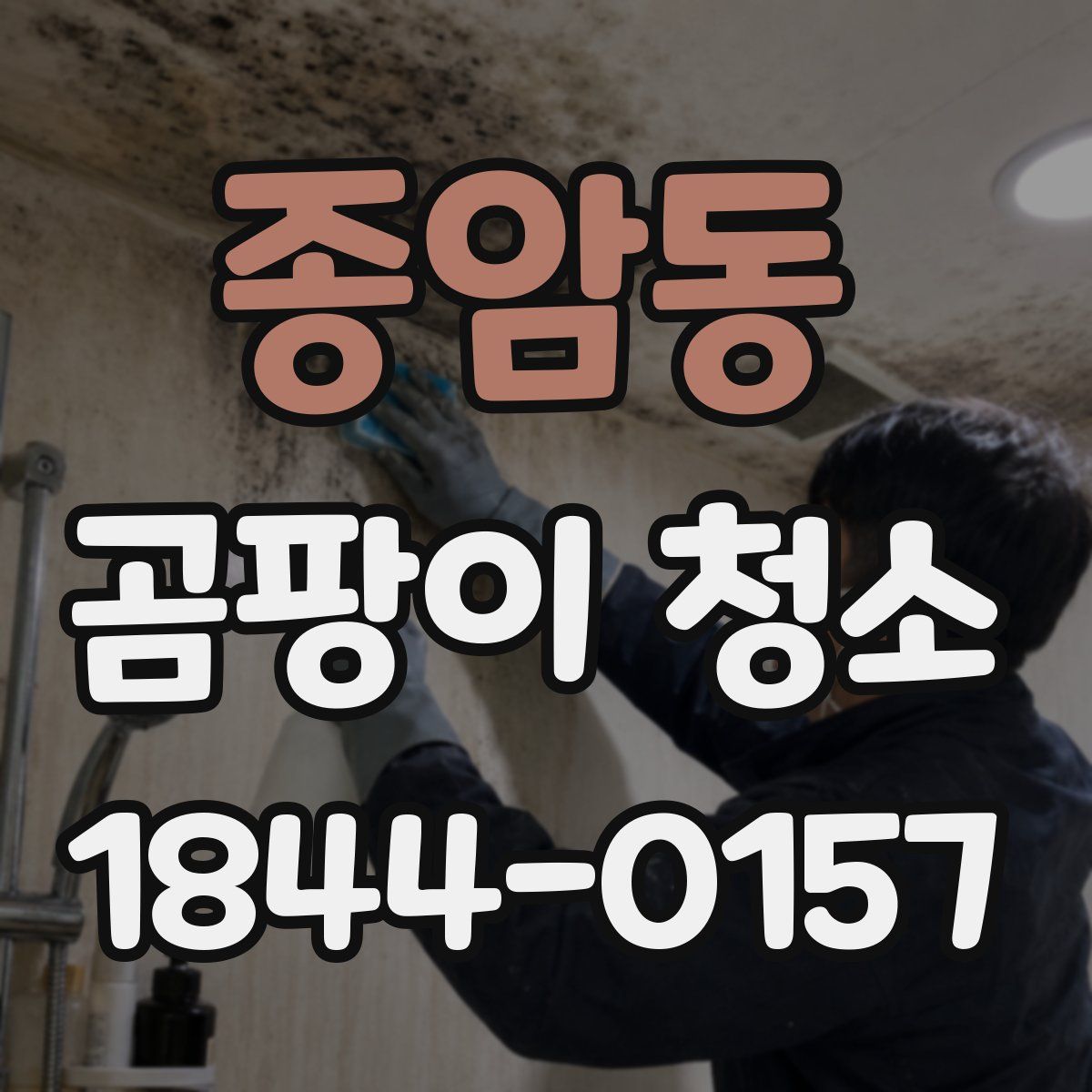 종암동 곰팡이 청소