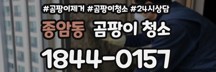 종암동 곰팡이 청소