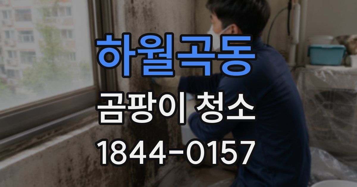 하월곡동 곰팡이 청소