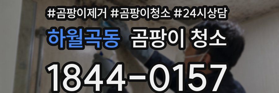 하월곡동 곰팡이 청소
