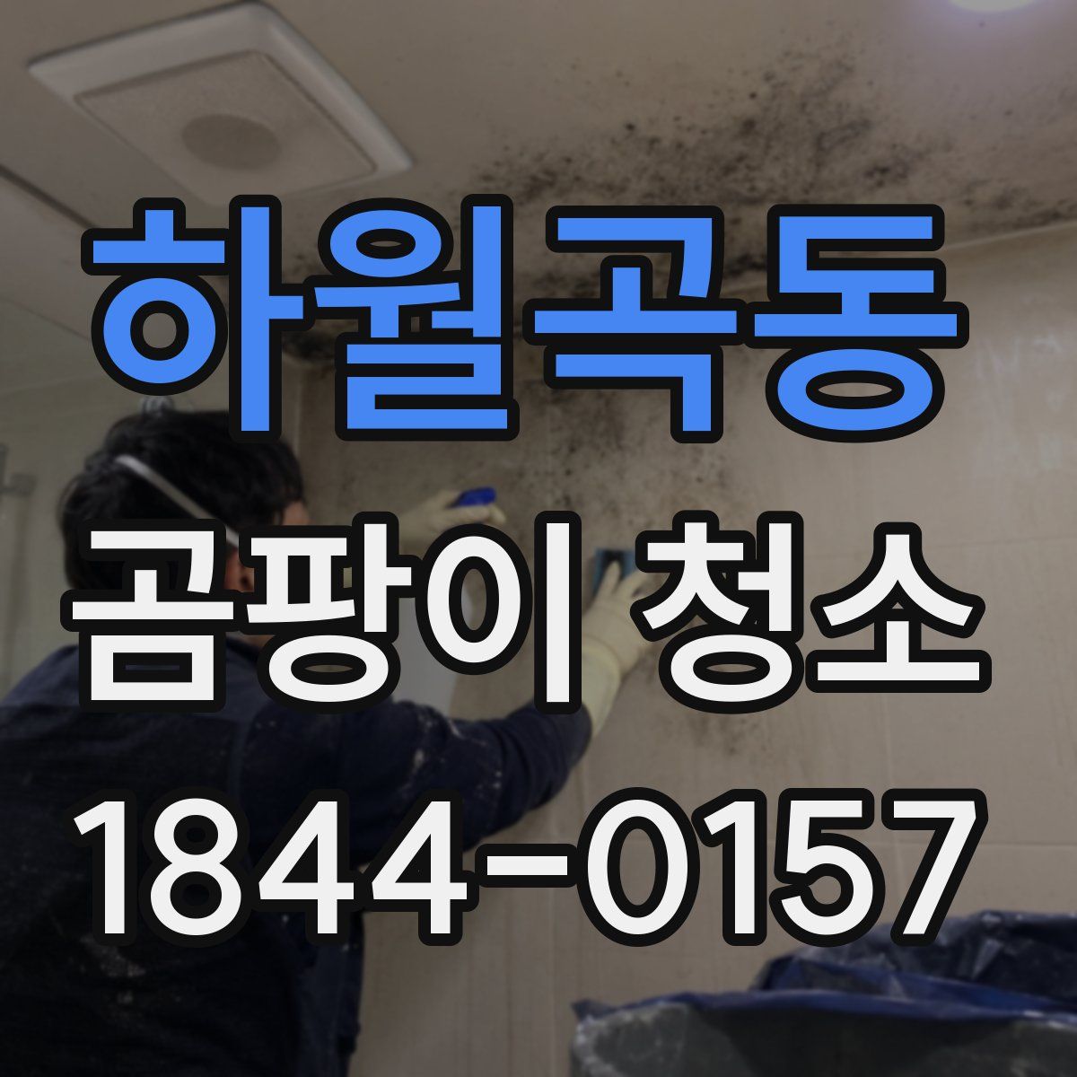 하월곡동 곰팡이 청소