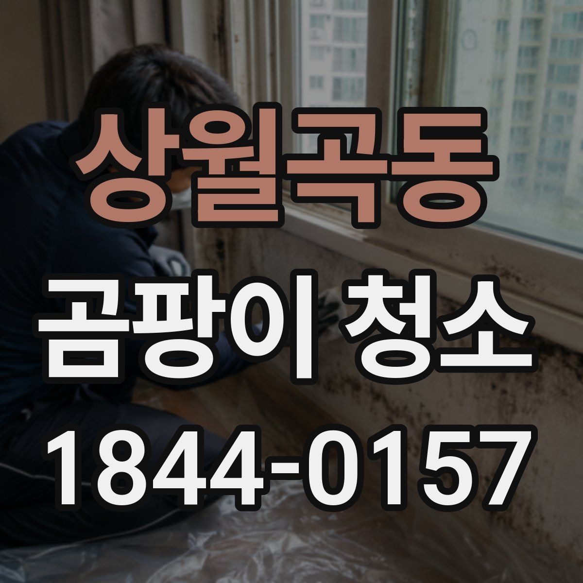 상월곡동 곰팡이 청소 현장에서 확인하는 결로와 통풍 문제