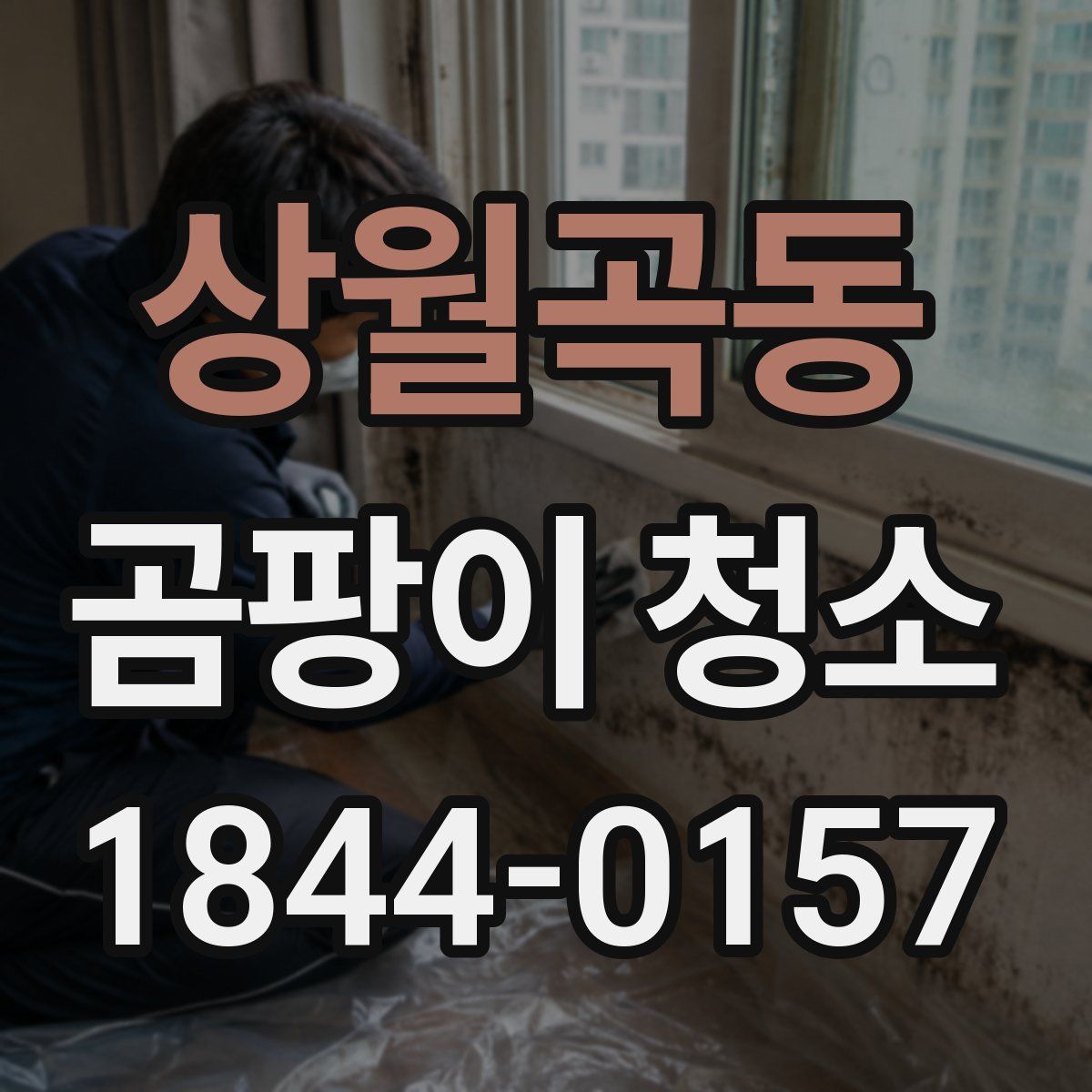 상월곡동 곰팡이 청소