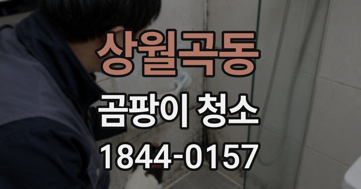 상월곡동 곰팡이 청소