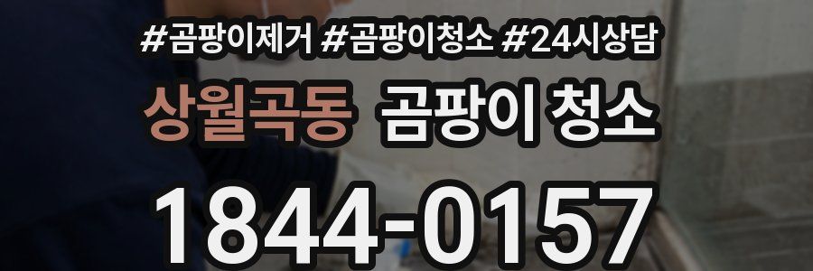 상월곡동 곰팡이 청소