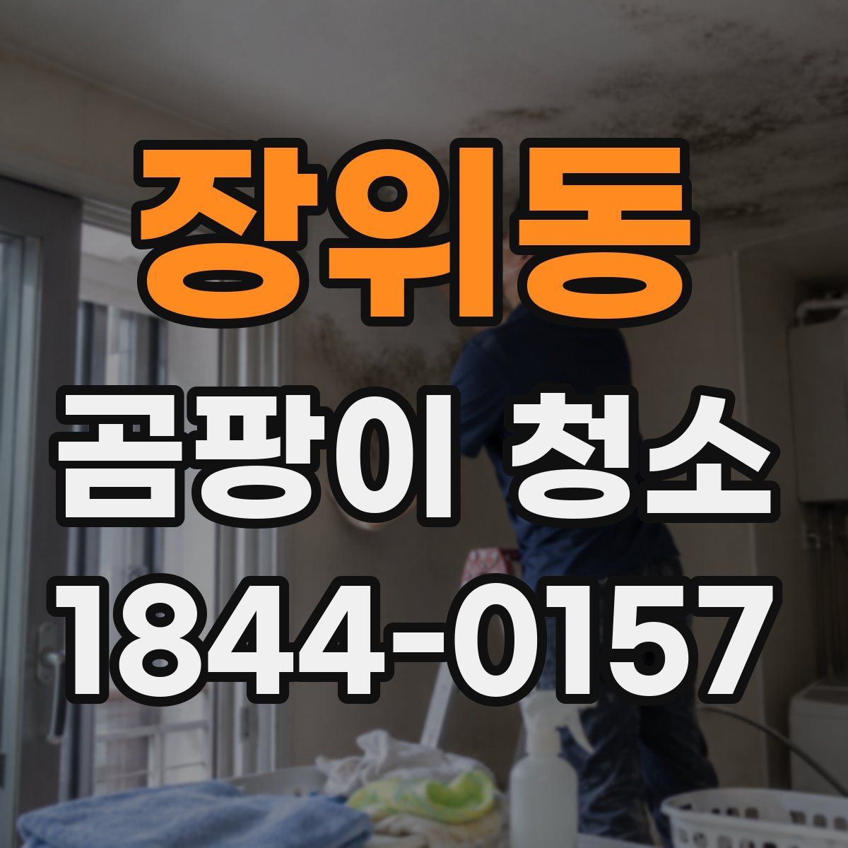 장위동 곰팡이 청소