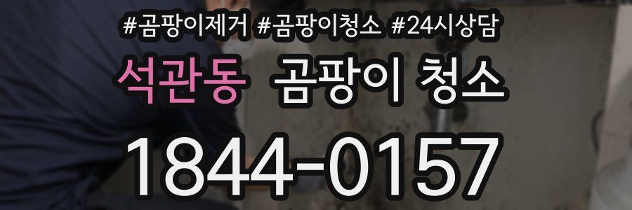 석관동 곰팡이 청소