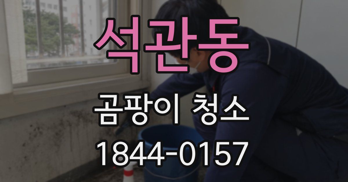 석관동 곰팡이 청소