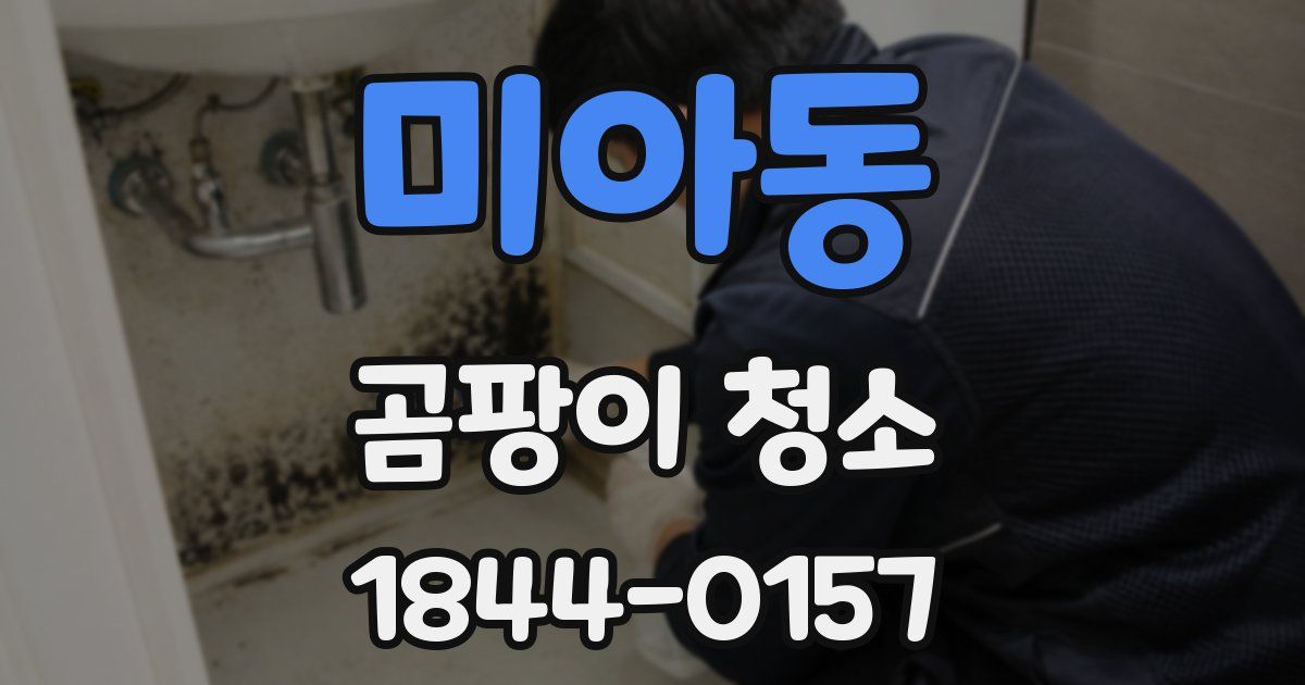 미아동 곰팡이 청소