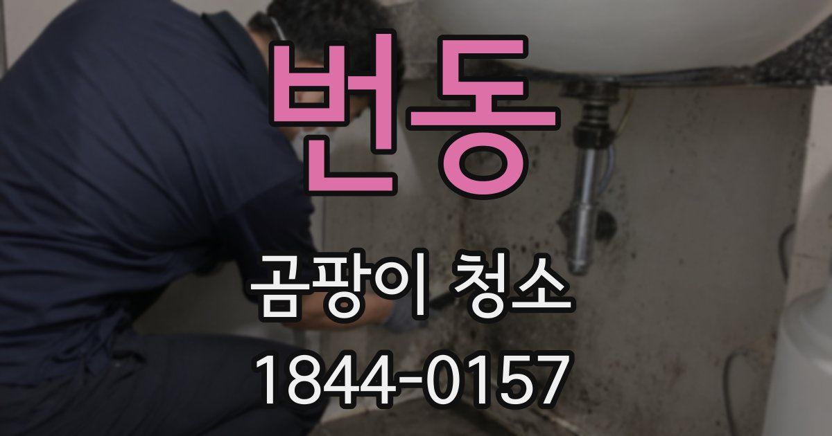 번동 곰팡이 청소