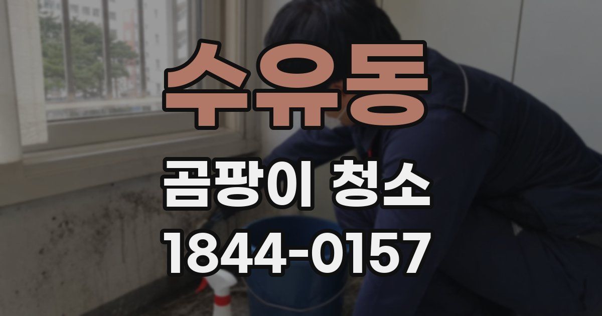 수유동 곰팡이 청소