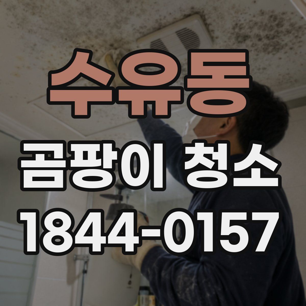 수유동 곰팡이 청소