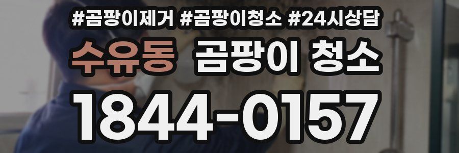 수유동 곰팡이 청소