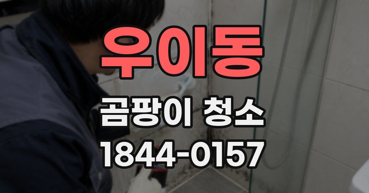 우이동 곰팡이 청소