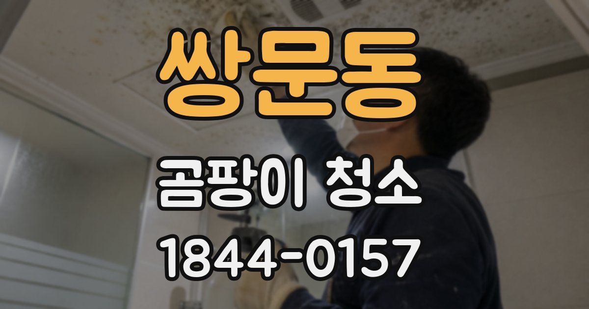 쌍문동 곰팡이 청소
