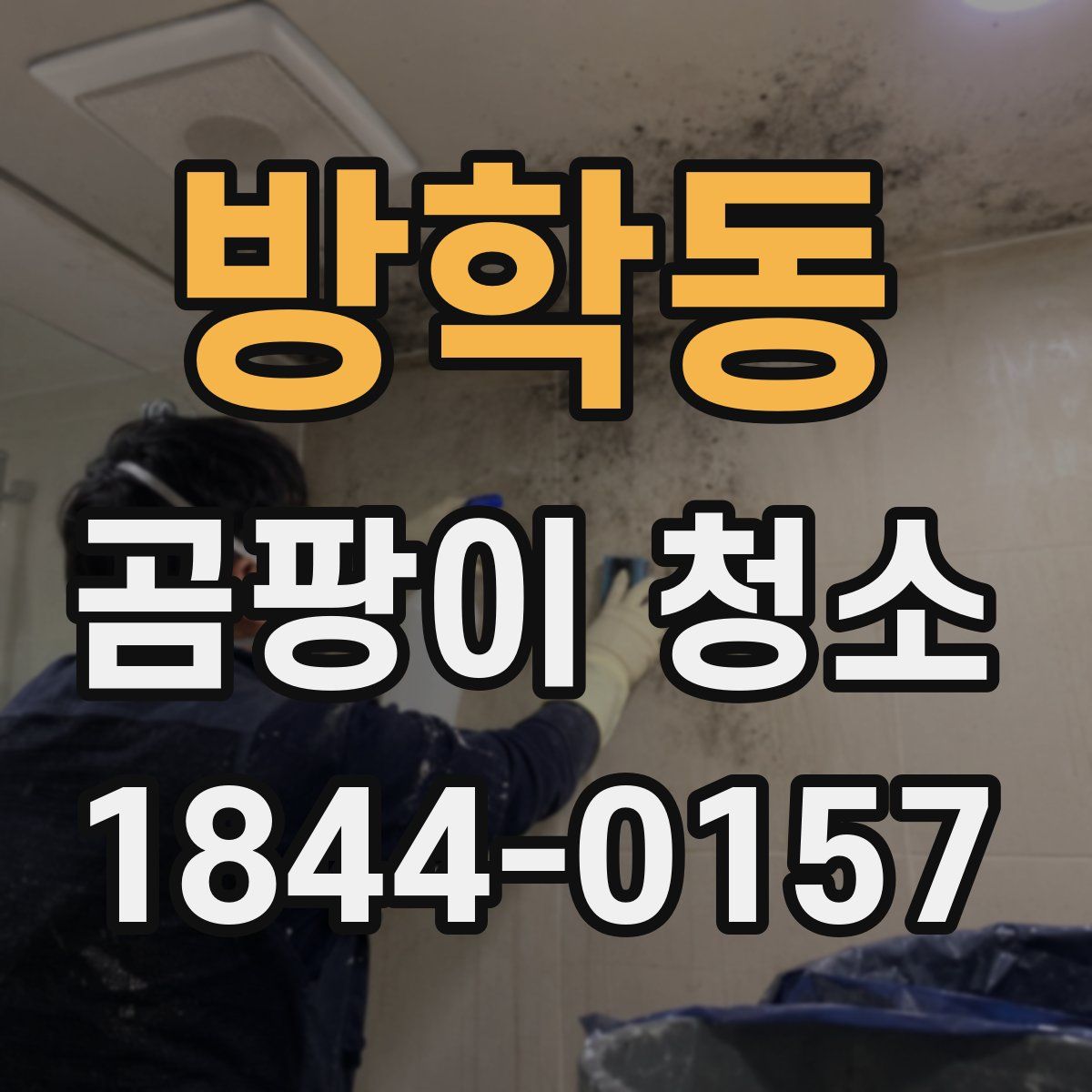 방학동 곰팡이 청소