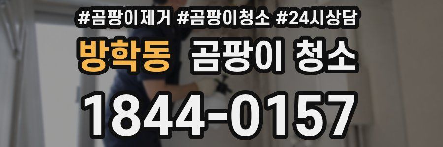 방학동 곰팡이 청소