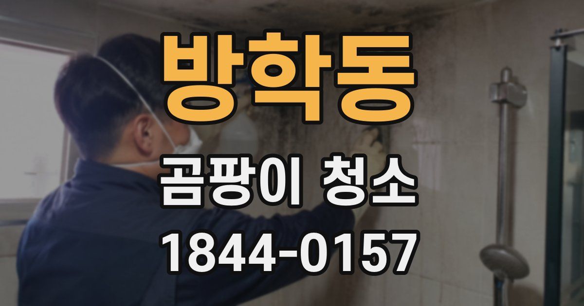 방학동 곰팡이 청소