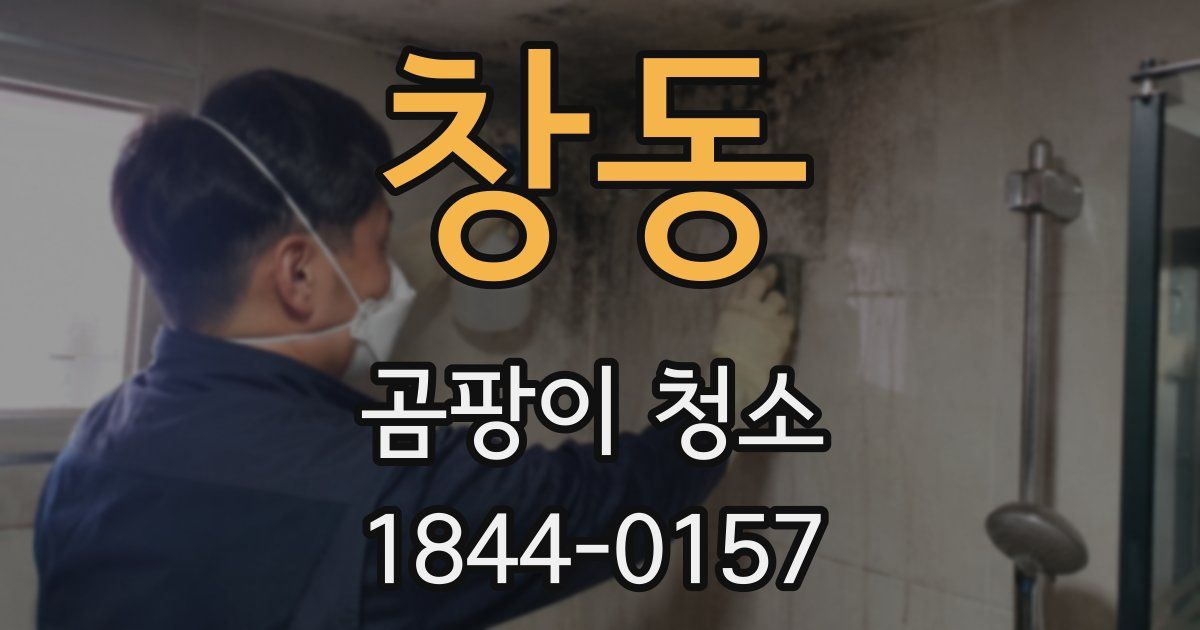 창동 곰팡이 청소