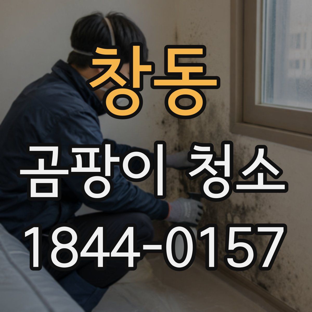 창동 곰팡이 청소