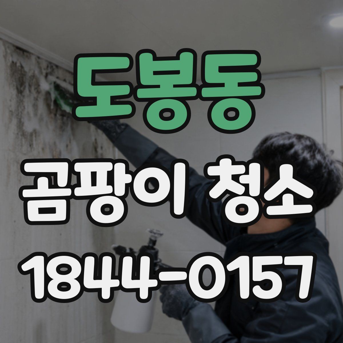 도봉동 곰팡이 청소 목재 마감재 손상을 줄이며 진행하는 요령