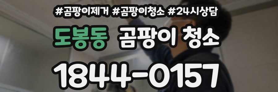 도봉동 곰팡이 청소