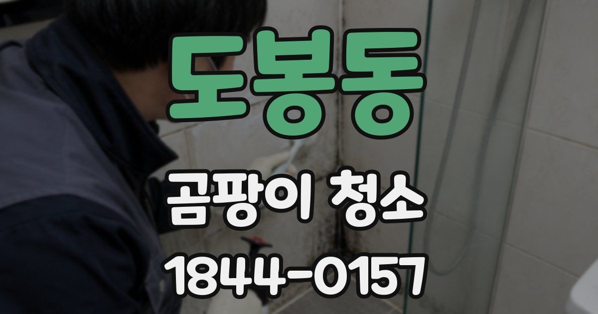 도봉동 곰팡이 청소