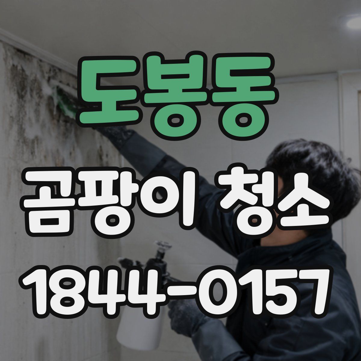 도봉동 곰팡이 청소