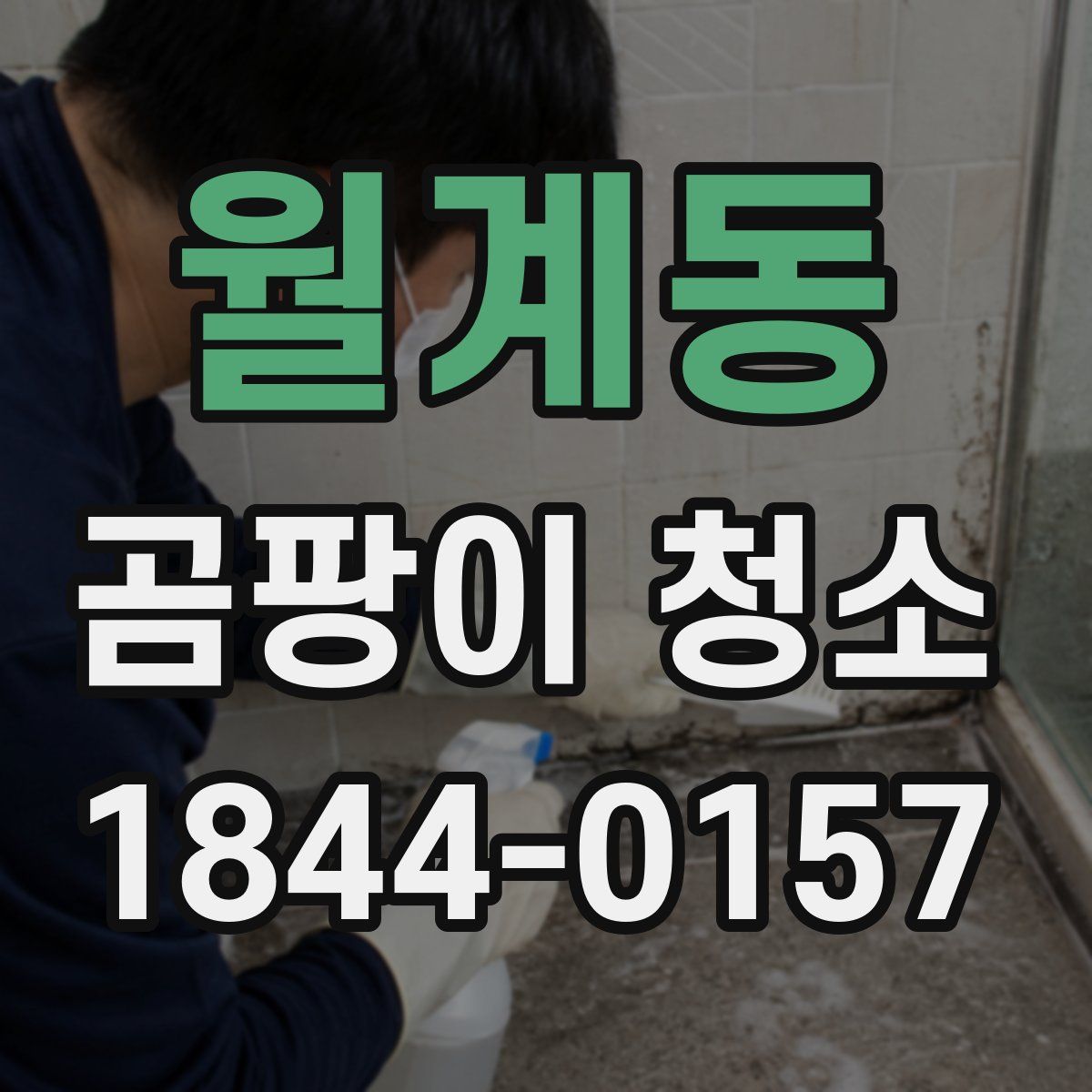월계동 곰팡이 청소