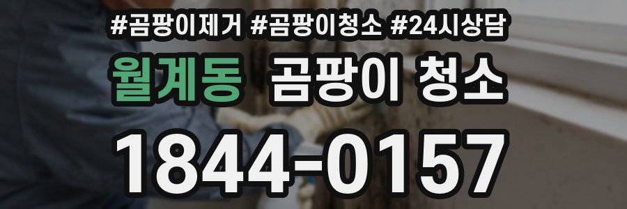 월계동 곰팡이 청소