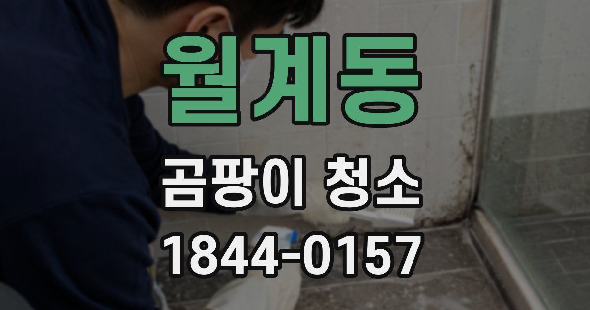 월계동 곰팡이 청소
