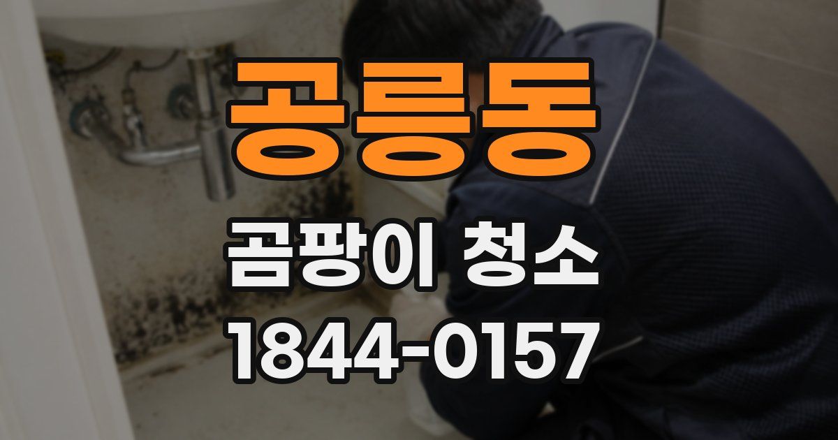 공릉동 곰팡이 청소