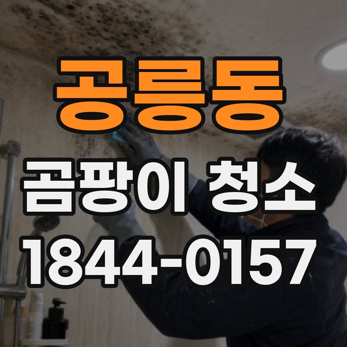 공릉동 곰팡이 청소