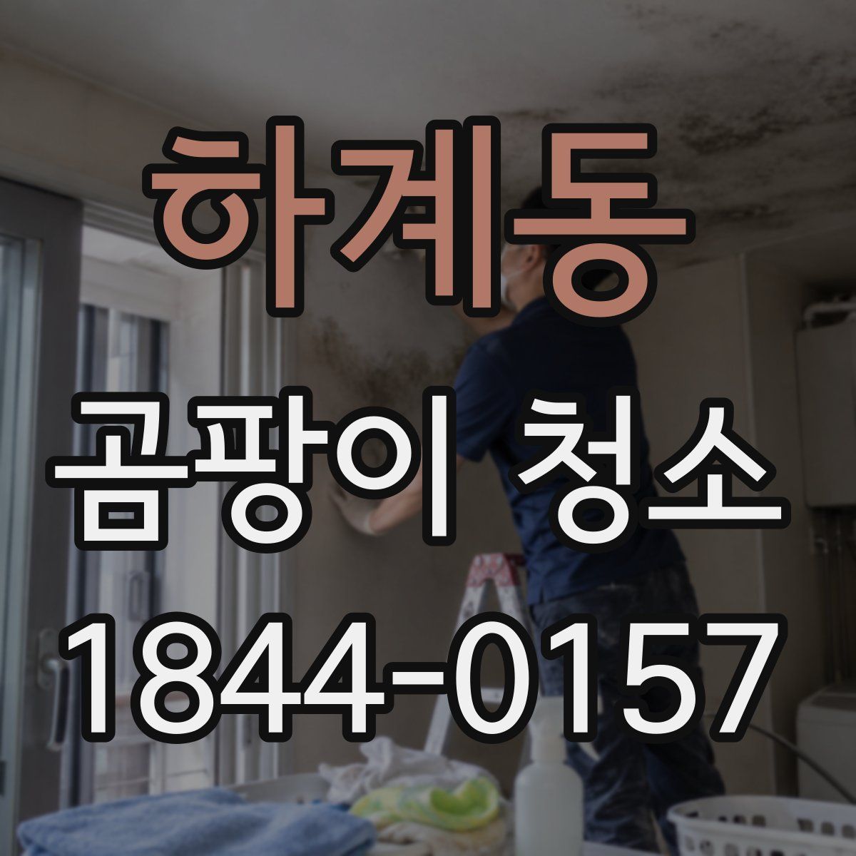 하계동 곰팡이 청소