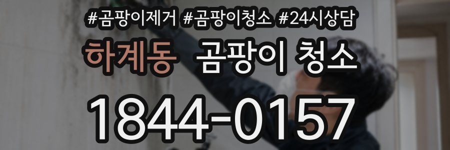 하계동 곰팡이 청소