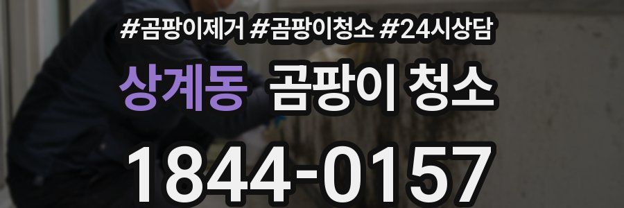 상계동 곰팡이 청소