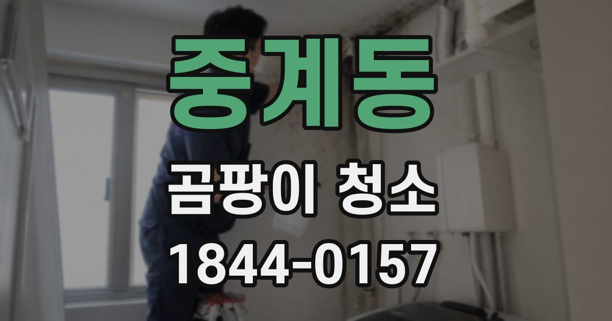 중계동 곰팡이 청소
