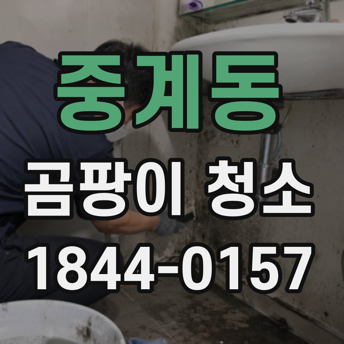중계동 곰팡이 청소