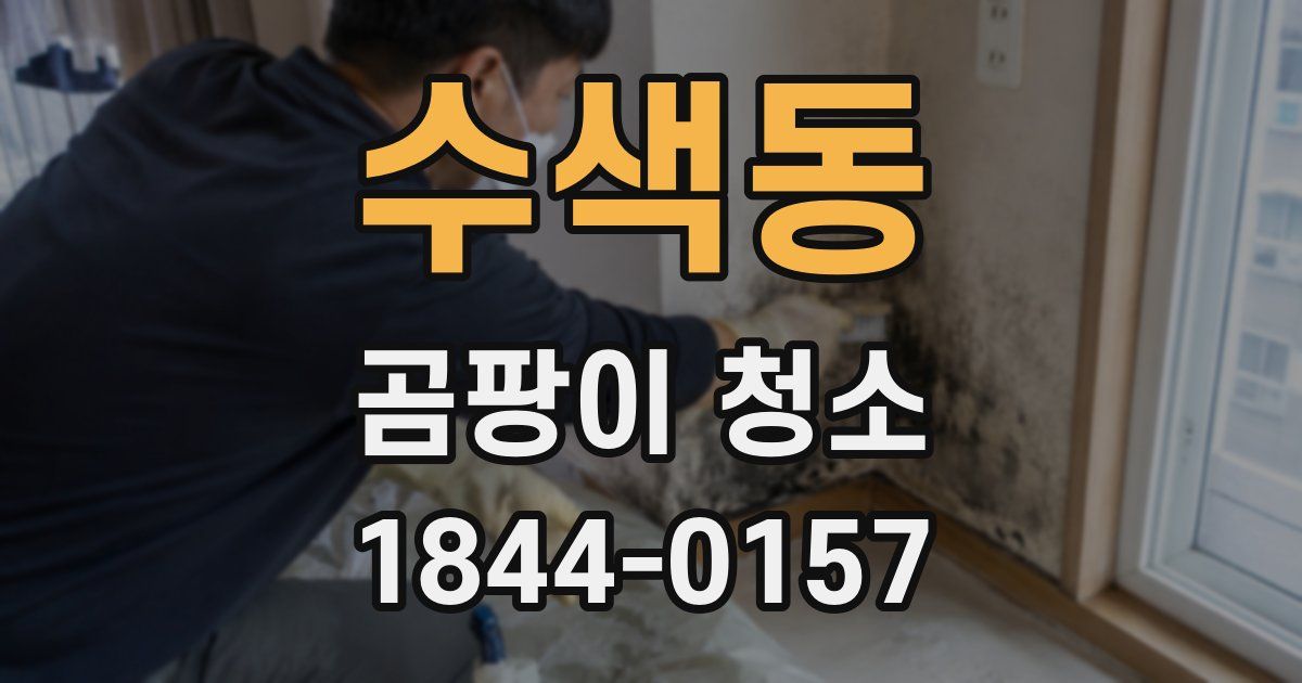 수색동 곰팡이 청소