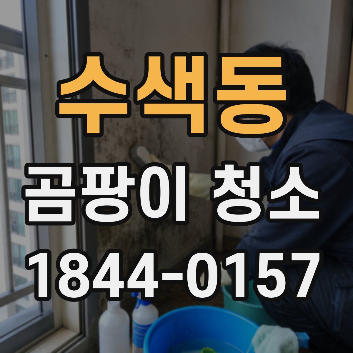 수색동 곰팡이 청소