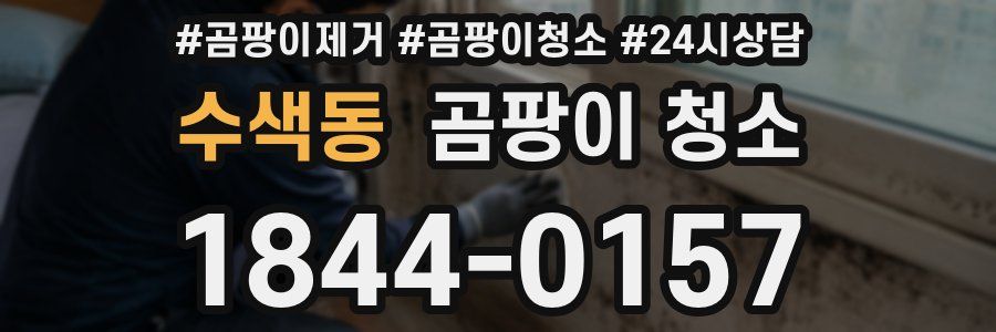 수색동 곰팡이 청소