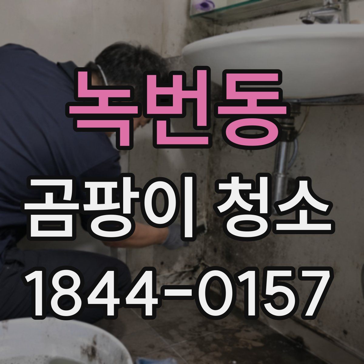 녹번동 곰팡이 청소