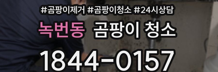 녹번동 곰팡이 청소