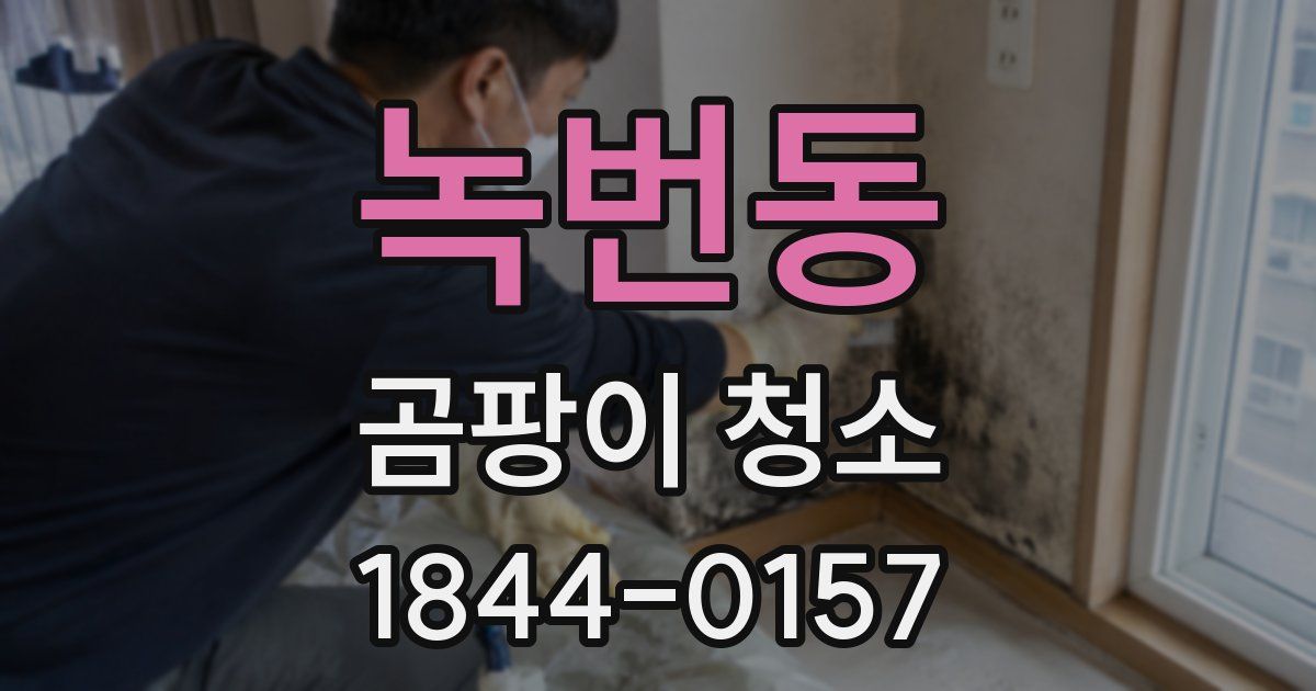 녹번동 곰팡이 청소