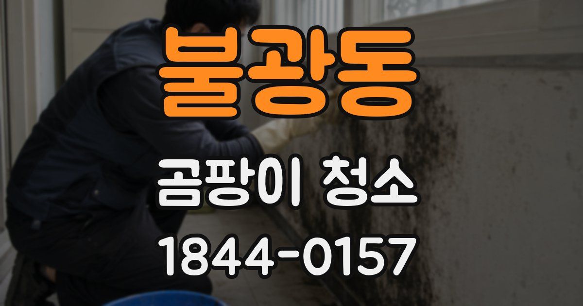 불광동 곰팡이 청소
