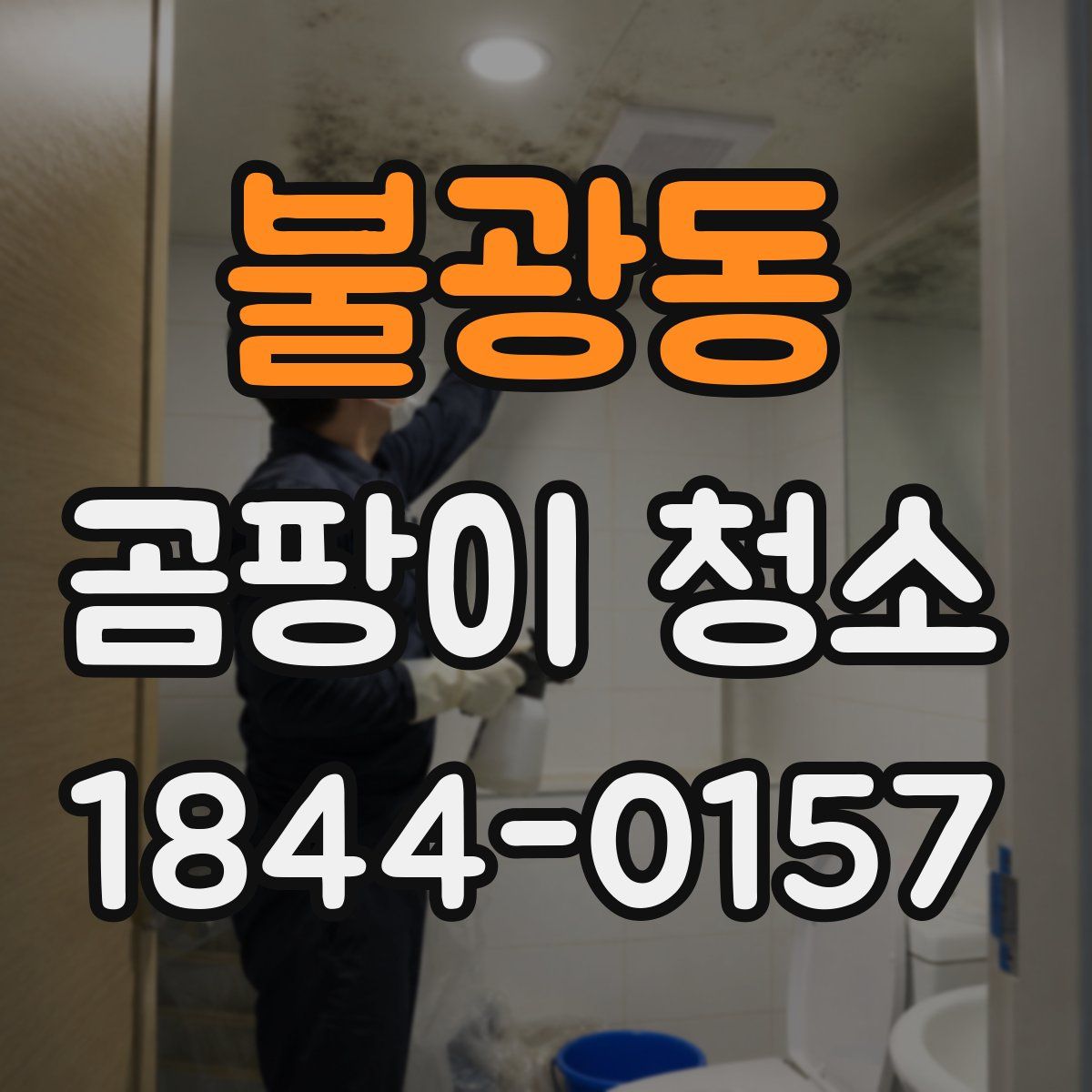 불광동 곰팡이 청소
