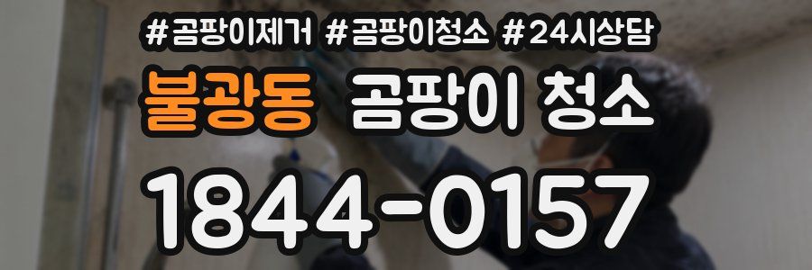 불광동 곰팡이 청소